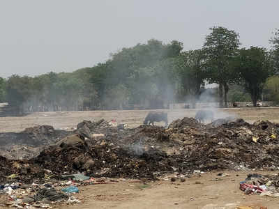 कुंभ के डेढ़ महीने बाद भी मेला क्षेत्र में पसरा है 2000 टन कचरा, हजारों करोड़ खर्च करने वाली योगी सरकार लापता