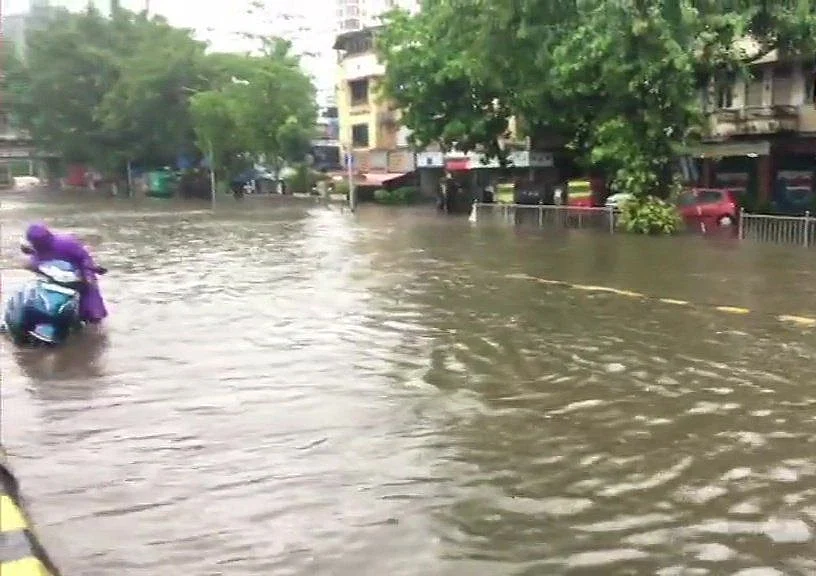तस्वीरों में देखें बारिश से बेहाल मुंबई, सड़कों पर गाड़ियों की जगह मछलियां, एयरपोर्ट और रेलवे ट्रैक भी डूबा