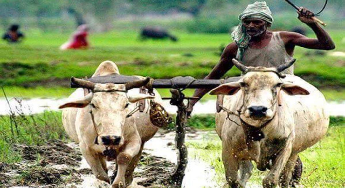अगर नीति निर्धारक बदलें मानसिकता तो कृषि फूंक सकती है अर्थव्यवस्था में नई जान