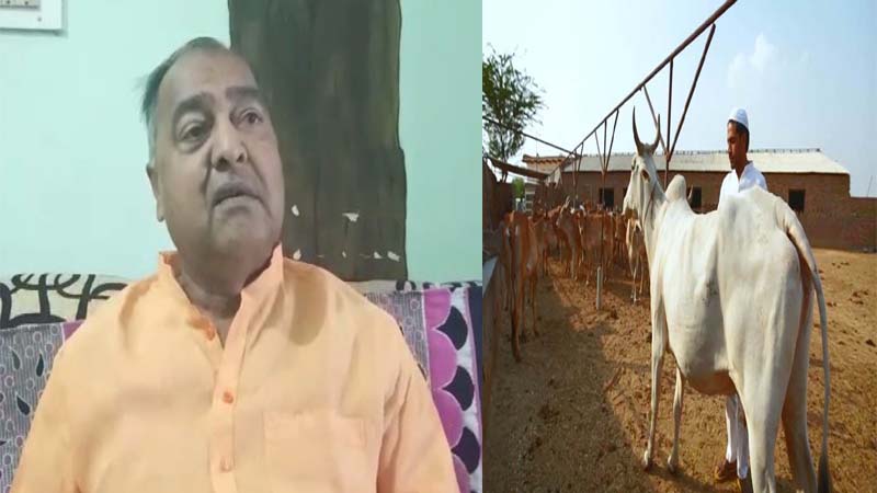 मुस्लिमों के घर में गाय होने को बीजेपी नेता ने बताया ‘लव जिहाद’, कहा- हर हाल में वापस ली जानी चाहिए गौ माता