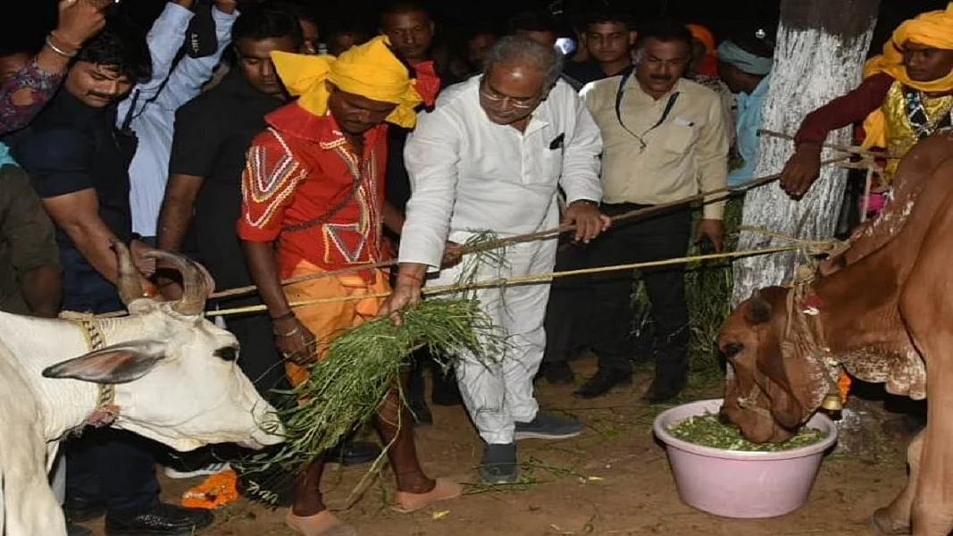 छत्तीसगढ़ः ‘गाय, गांधी और गांव’ की राह चली भूपेश सरकार