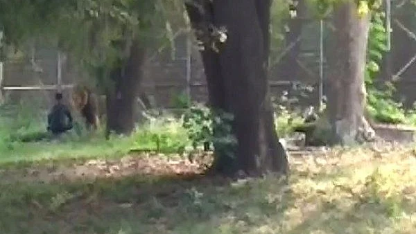 फोटो: सोशल मीडिया