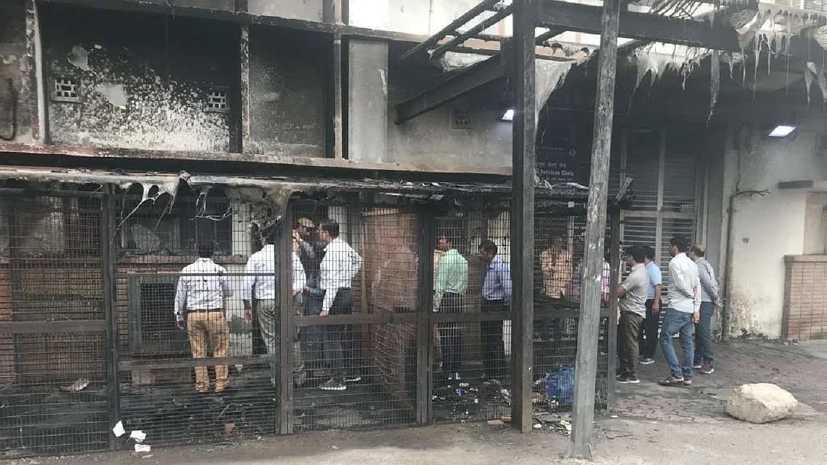 फोटो : सोशल मीडिया