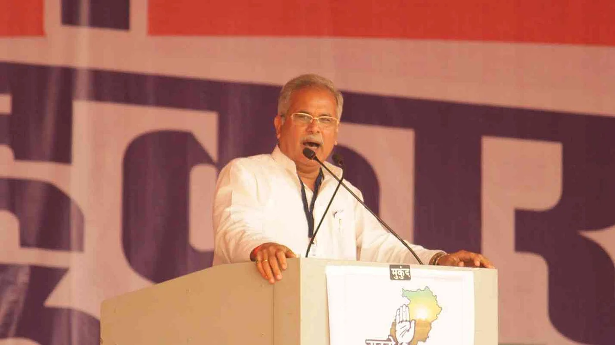 छत्तीसगढ़ सरकार की बड़ी पहल: स्कूलों में बनेंगे किचन गार्डन, बच्चों को परोसी जाएंगी हरी सब्जियां