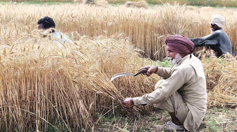हरियाणा की खट्टर सरकार का किसानों को राहत से इनकार, कहा- 15 अप्रैल से पहले नहीं शुरु कराएंगे फसल खरीद