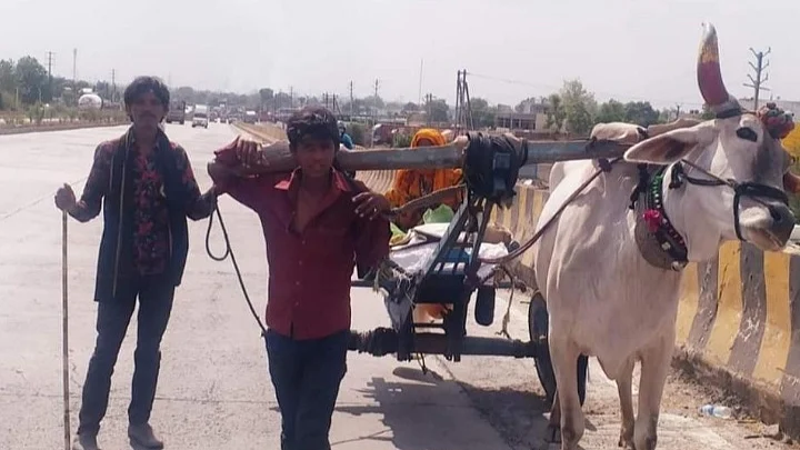 फोटो: IANS