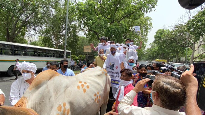 नवजीवन बुलेटिन: तेल कीमतों पर कांग्रेस का देशव्यापी प्रदर्शन, कहीं साइकिल तो कहीं बैलगाड़ी पर बैठकर किया विरोध