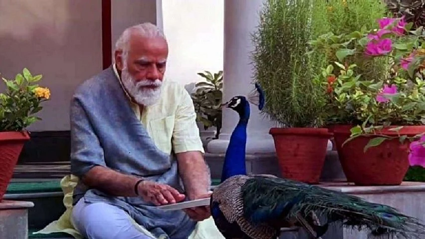 फोटोः सोशल मीडिया