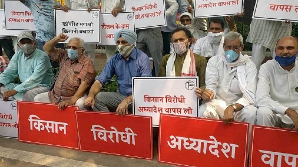 RSS से जुड़े सगंठन ने किया कृषि विधेयक का विरोध, मोदी सरकार के कामकाज को लेकर बड़ा सवाल, कहा- नहीं पता जमीनी हकीकत