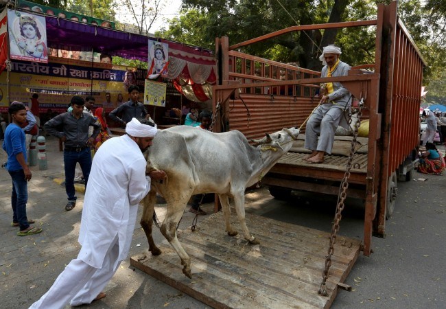 मध्य प्रदेश में गौ तस्करी के आरोपी की पुलिस की मौजूदगी में लिंचिंग की कोशिश, भीड़ ने घसीट-घसीट कर पीटा
