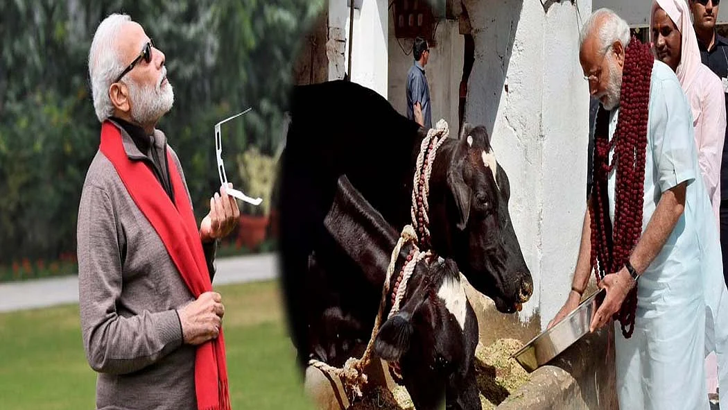 फोटो: सोशल मीडिया