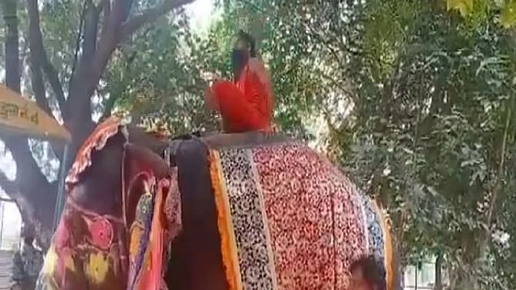 वीडियो स्क्रीन ग्रैब
