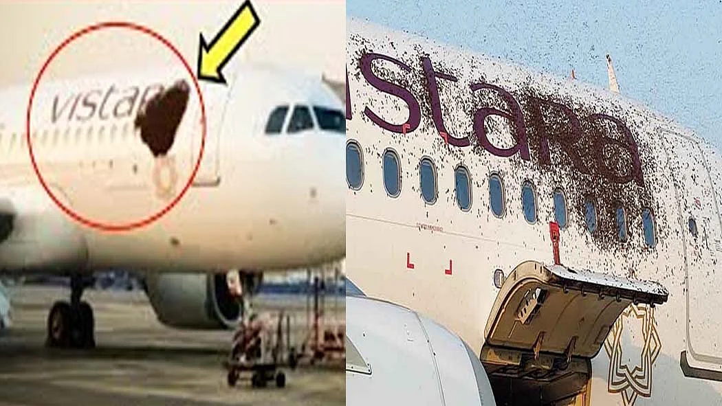 वीडियो: Vistara की फ्लाइट में इस 'काले धब्बे' को देखकर मचा हड़कंप! बुलानी पड़ी फायर ब्रिगेड की गाड़ियां
