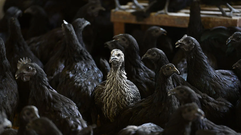 फोटो: Getty Images