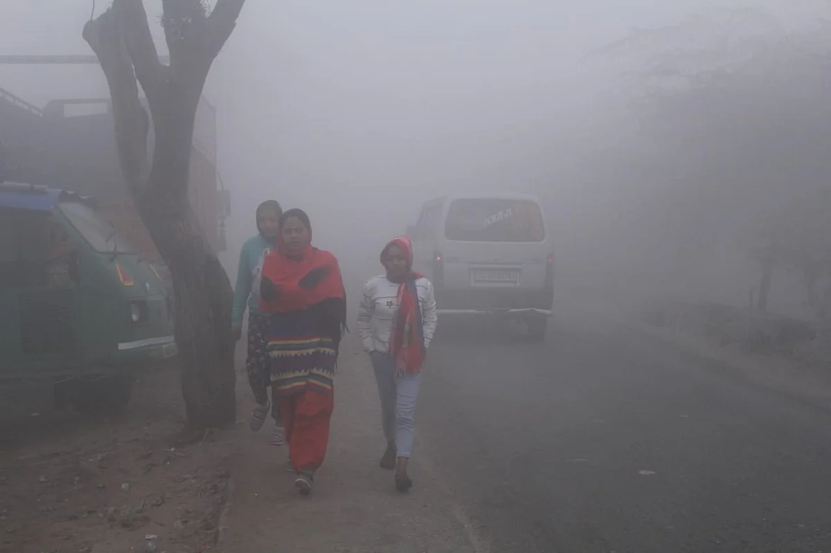 फोटो: विपिन