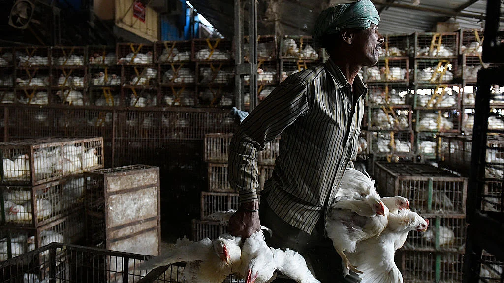 फोटो: Getty Images