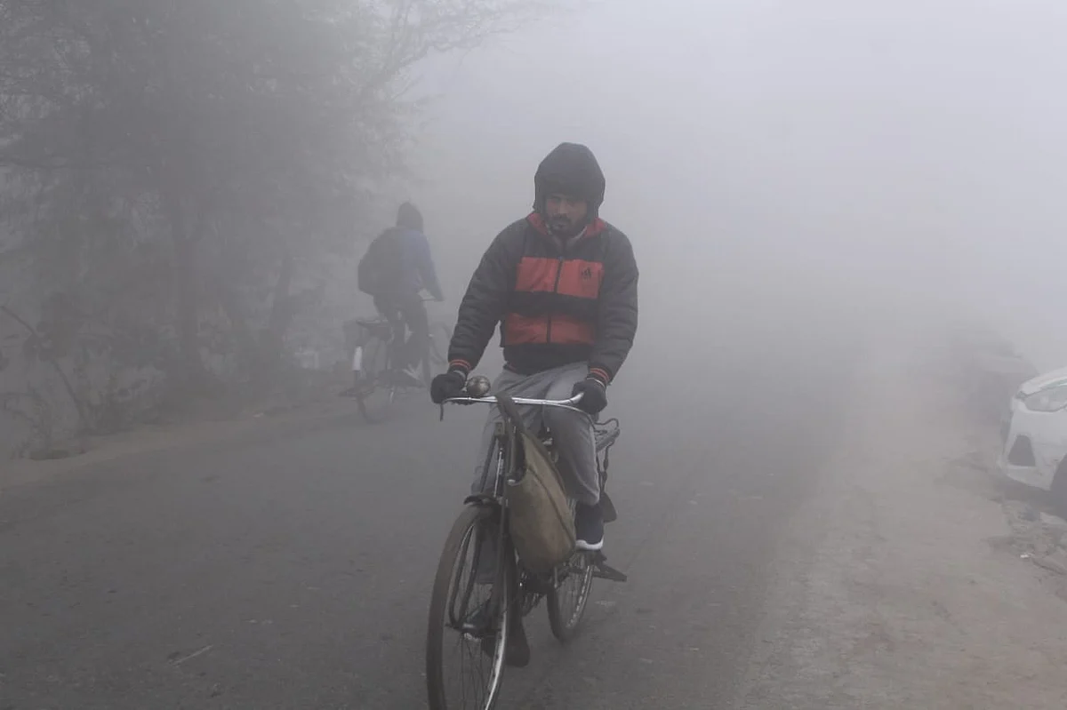 फोटो: विपिन