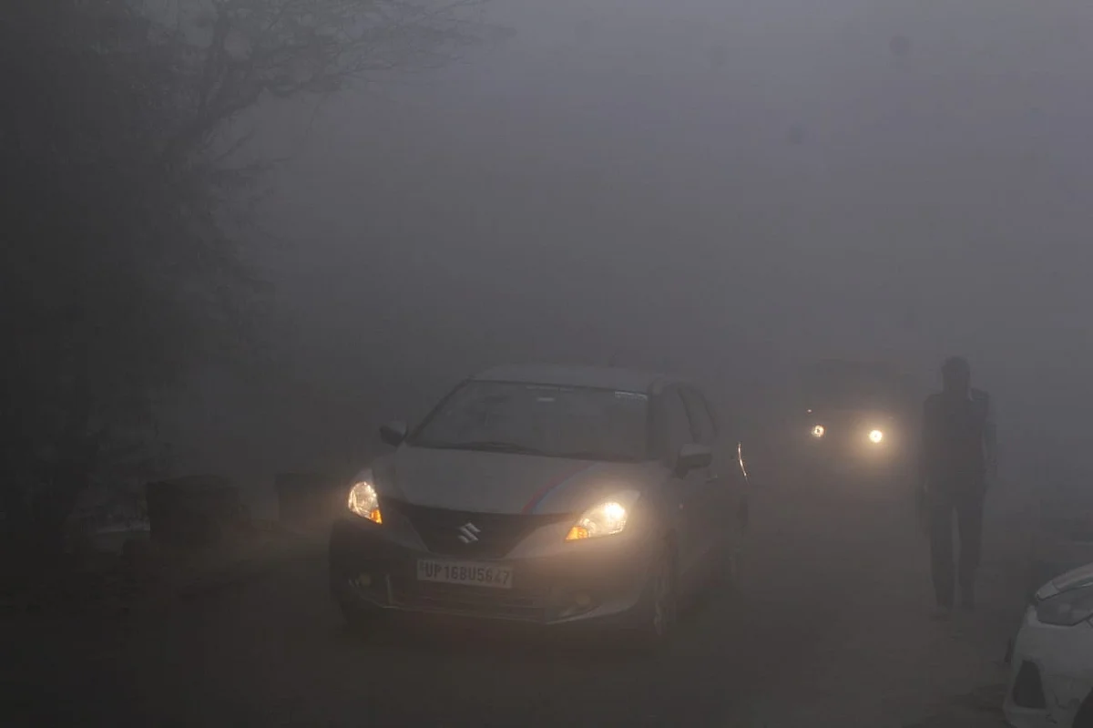 फोटो: विपिन