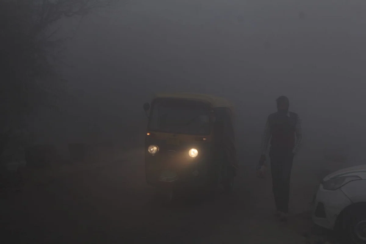 फोटो: विपिन