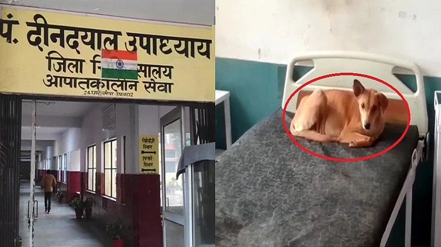 फोटो: ANI