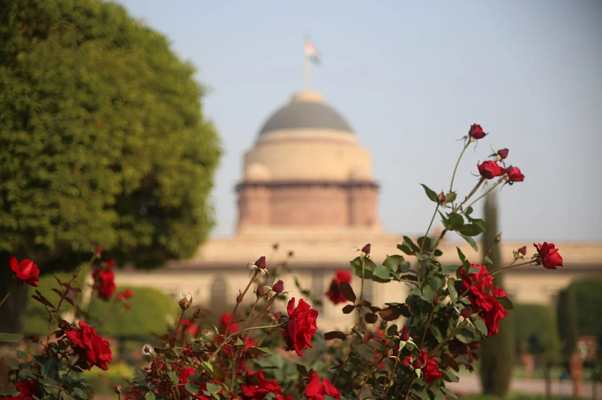 फोटो : विपिन