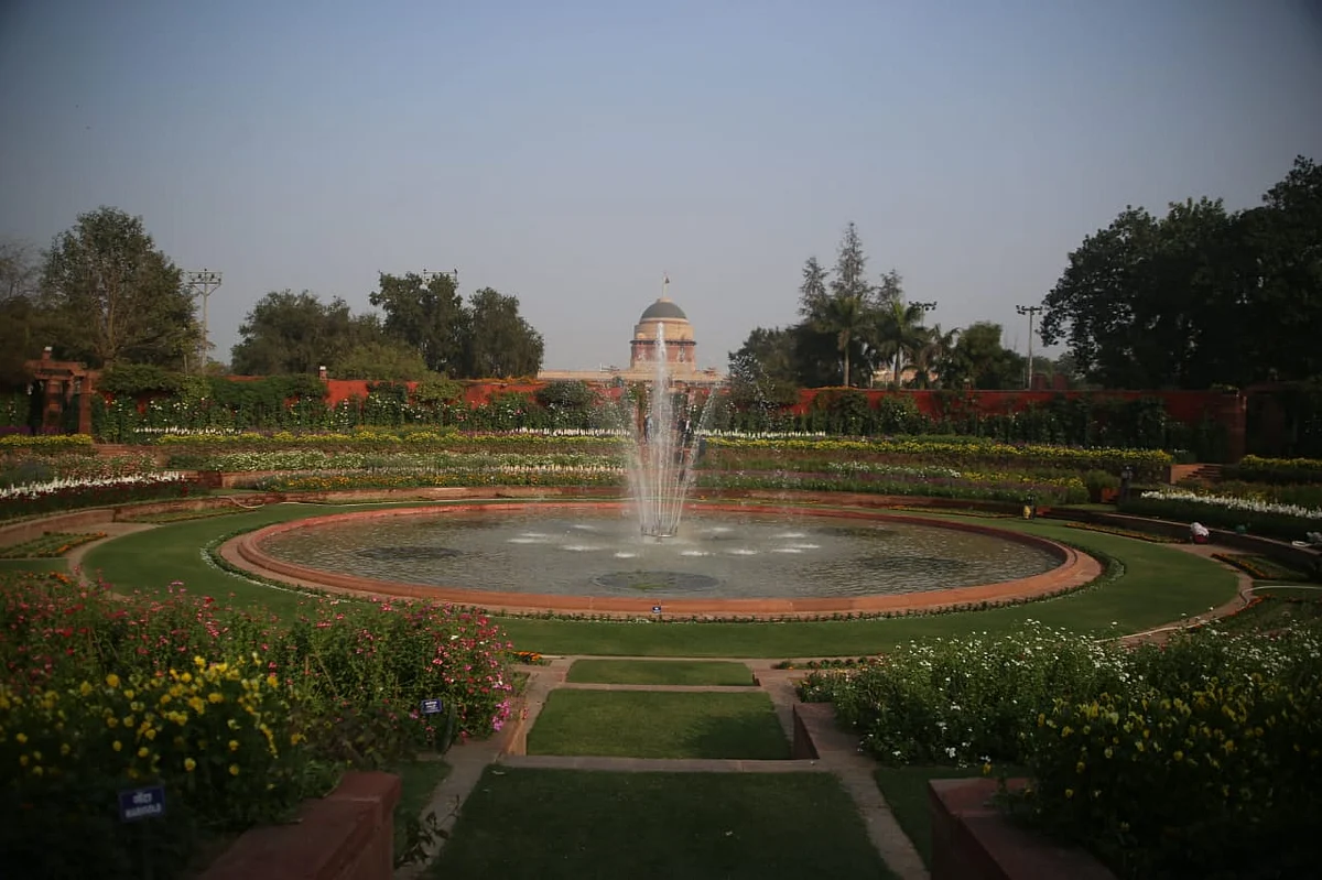 फोटो : विपिन