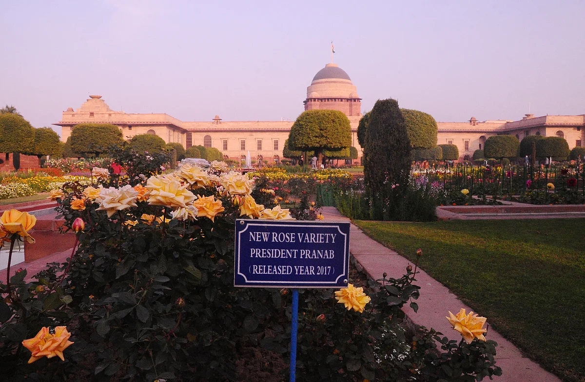 फोटो : आईएएनएस