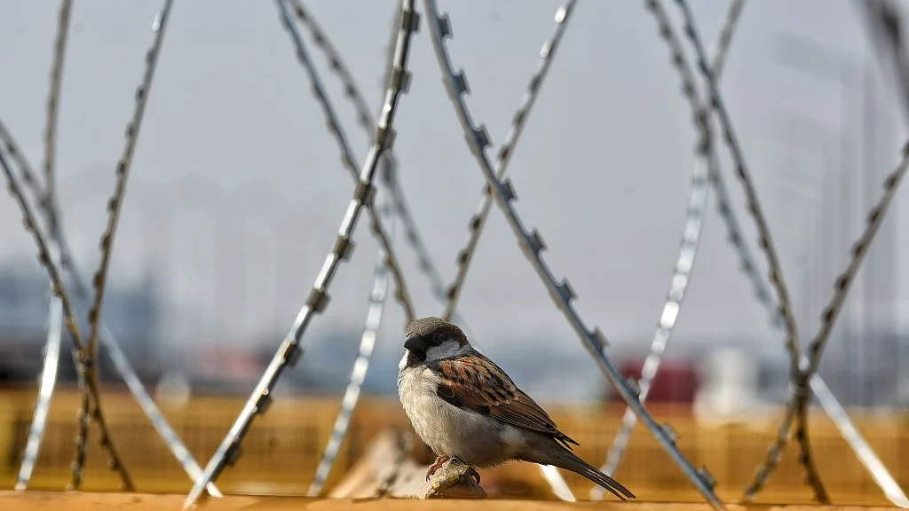 फोटो : Getty Images