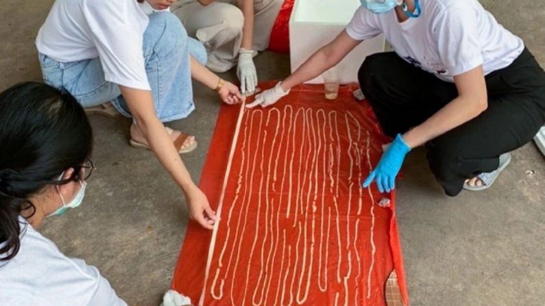वीडियो: इस शख्स के पेट से निकला 18 मीटर लंबा कीड़ा, इलाज कर रहे डॉक्टरों के उड़े होश!
