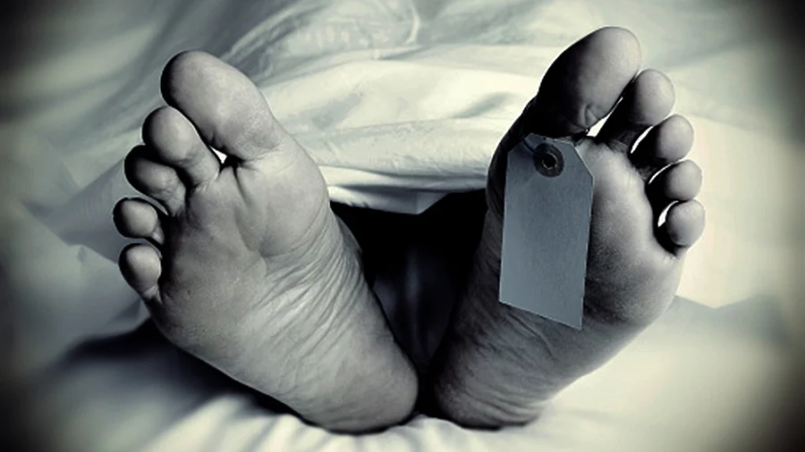 प्रतीकात्मक तस्वीर