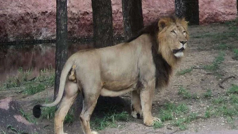 फोटोः सोशल मीडिया