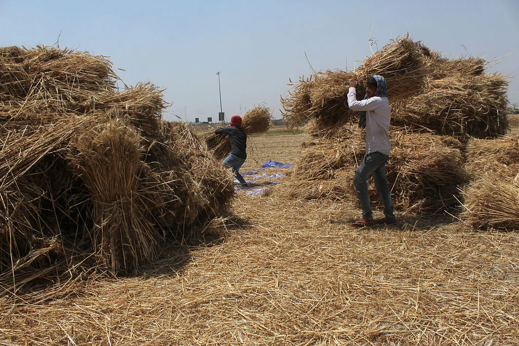 फोटो : Getty Images