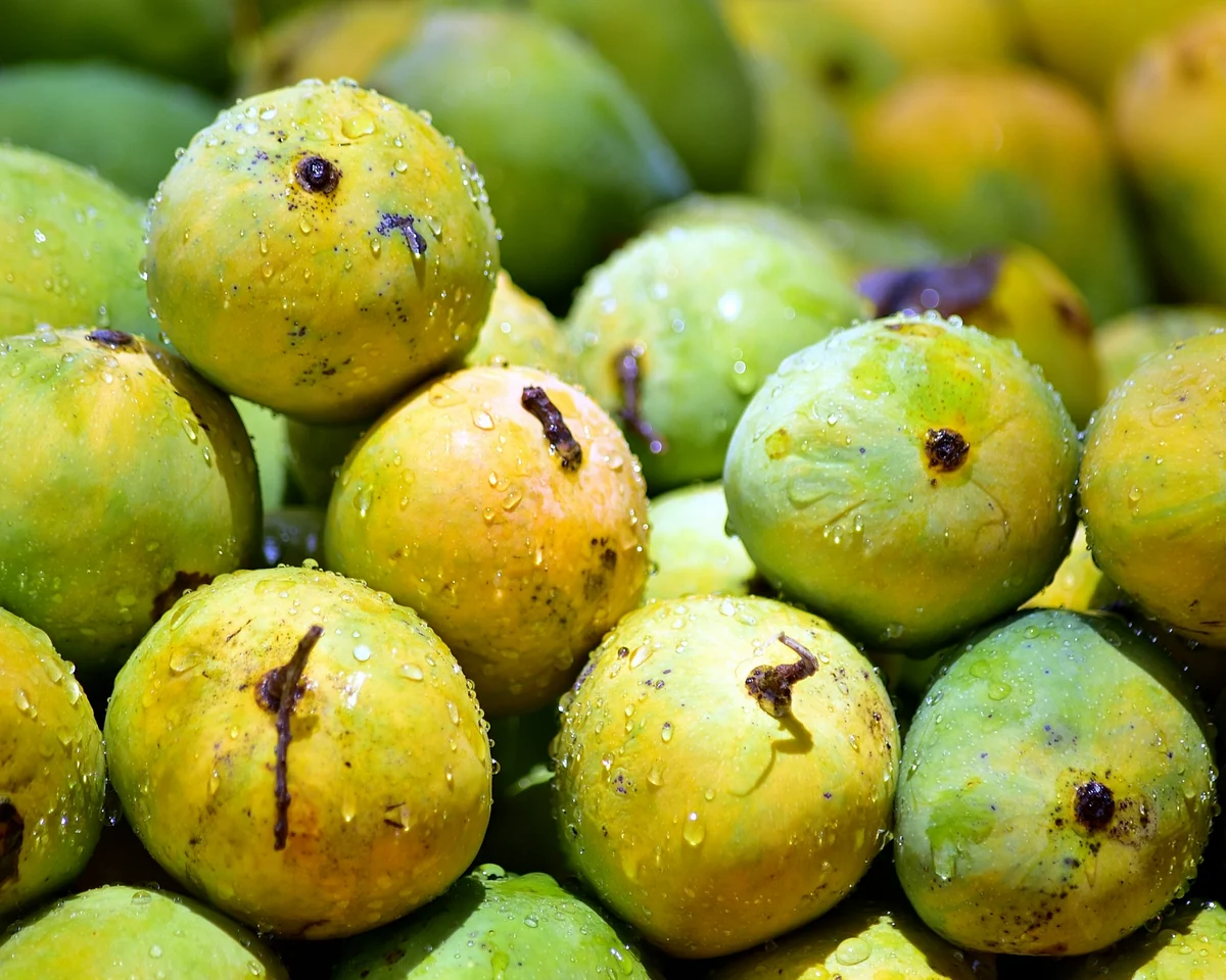 फोटो: IANS