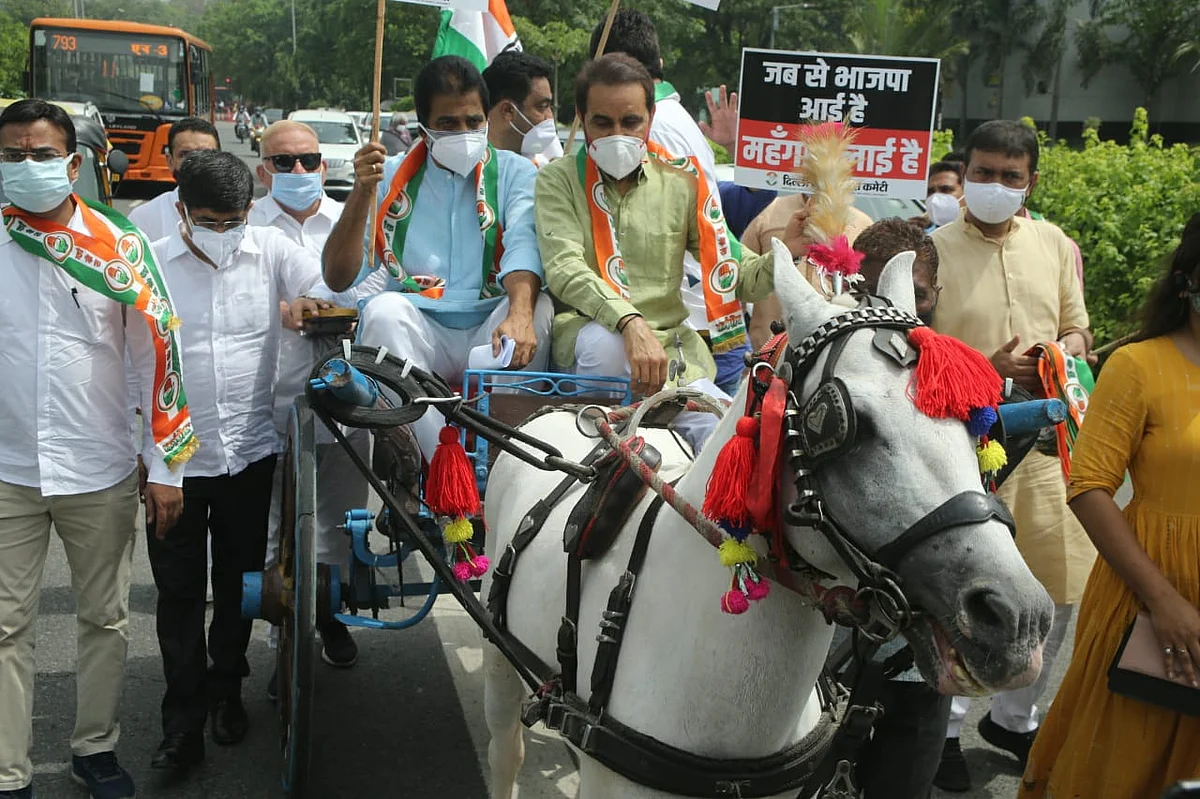 फोटो: विपिन