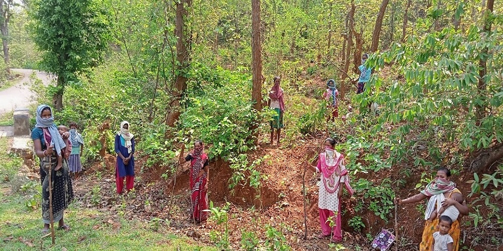 झारखंड में पर्यावरण को बचाने की अनोखी पहल, सखी मंडल की दीदियां कर रही जंगलों की 'पहरेदारी'