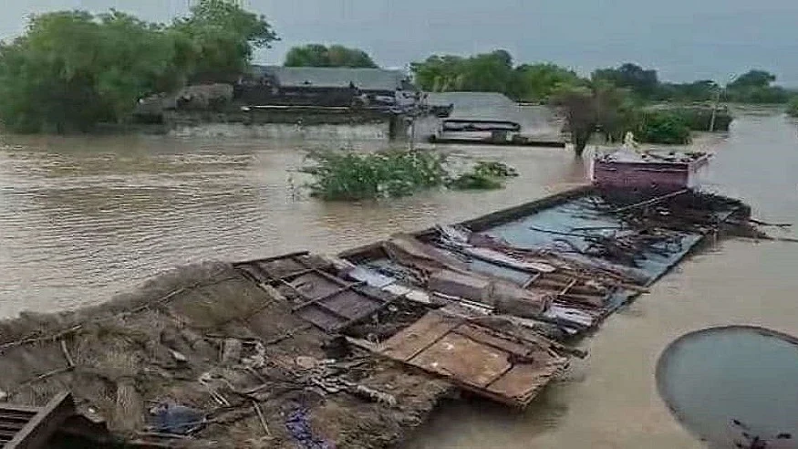 फोटो: सोशल मीडिया