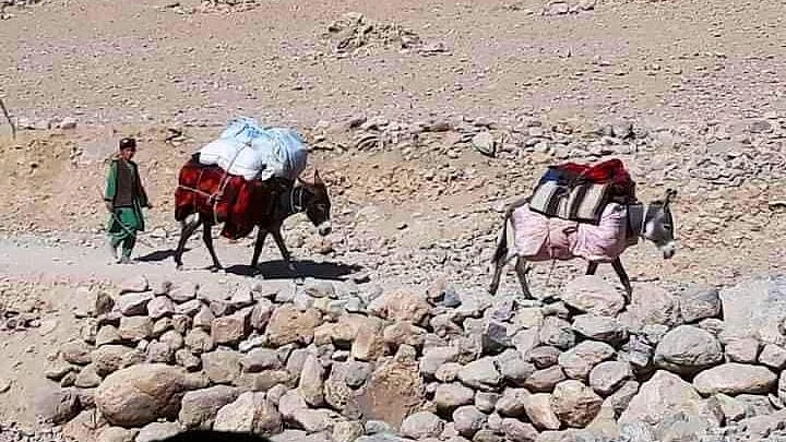 फाइल फोटोः सोशल मीडिया