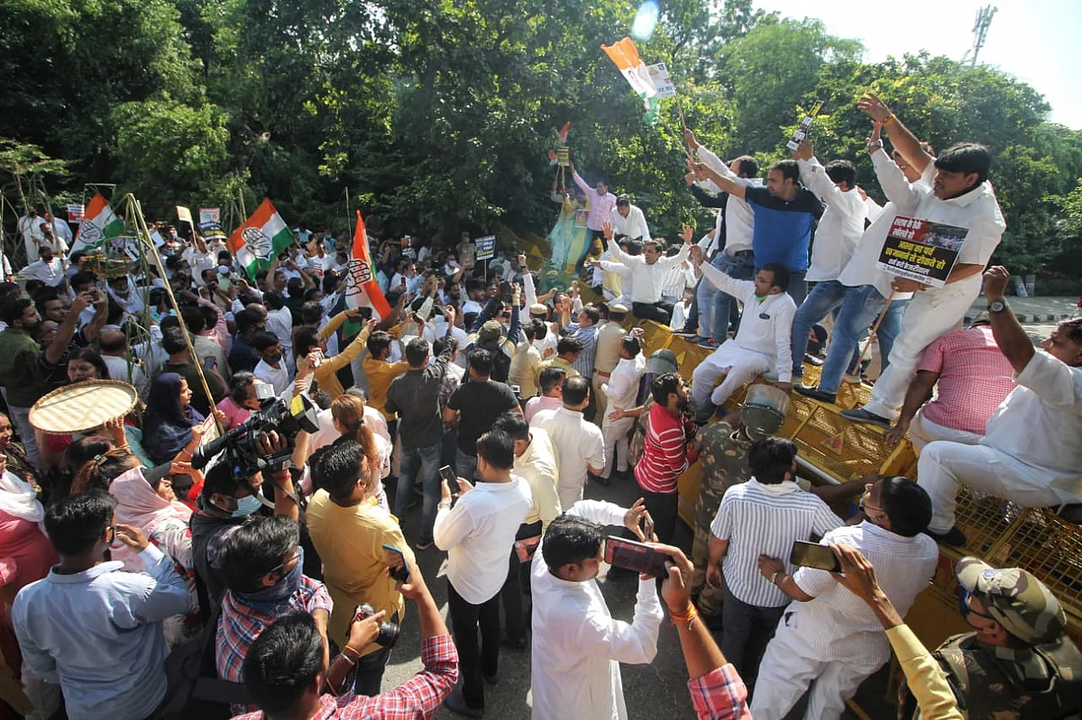 फोटो: विपिन