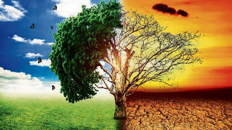 जलवायु बदलाव संबंधी कार्यों को आगे बढ़ाने के लिए बेहतर संसाधन जरूरी, ग्लासगो सम्मेलन में अधिकांश देशों ने लगाई मुहर