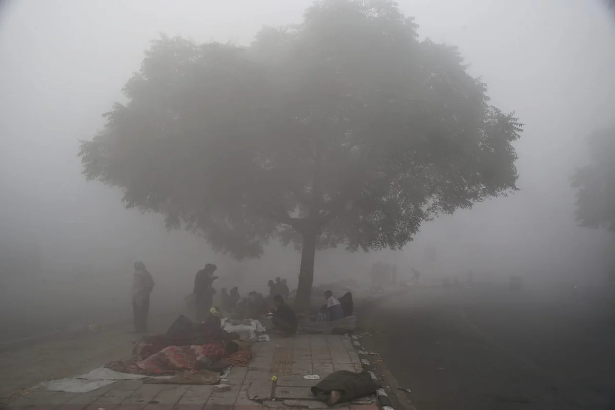 फोटो: विपिन