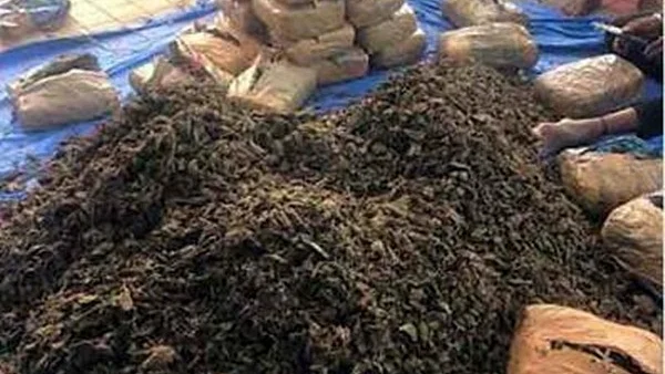 फोटो: IANS