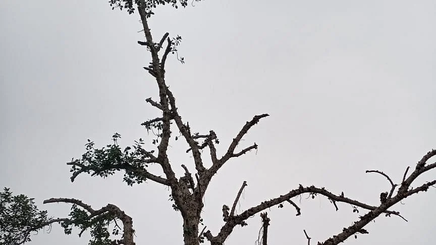 फोटो: IANS