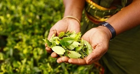 फोटो: IANS