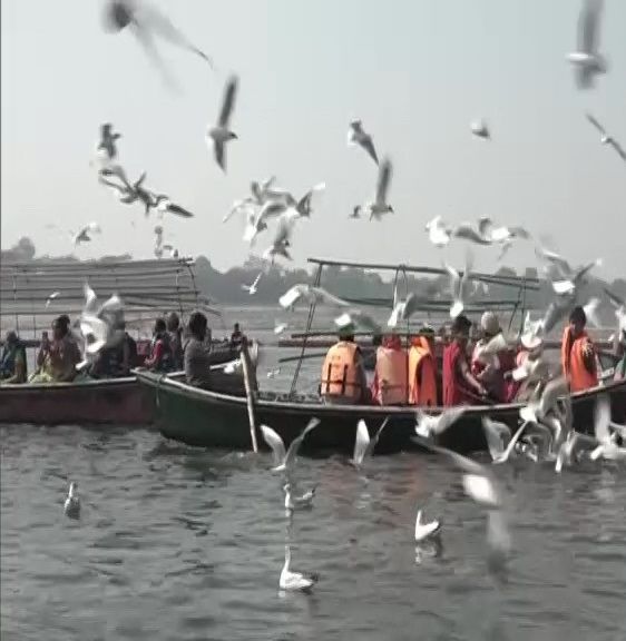 प्रयागराज में सात समंदर पार से पहुंचे विदेशी मेहमान, मन को मोह लेगा साइबेरियन पक्षियों का झुंड, देखें वीडियो
