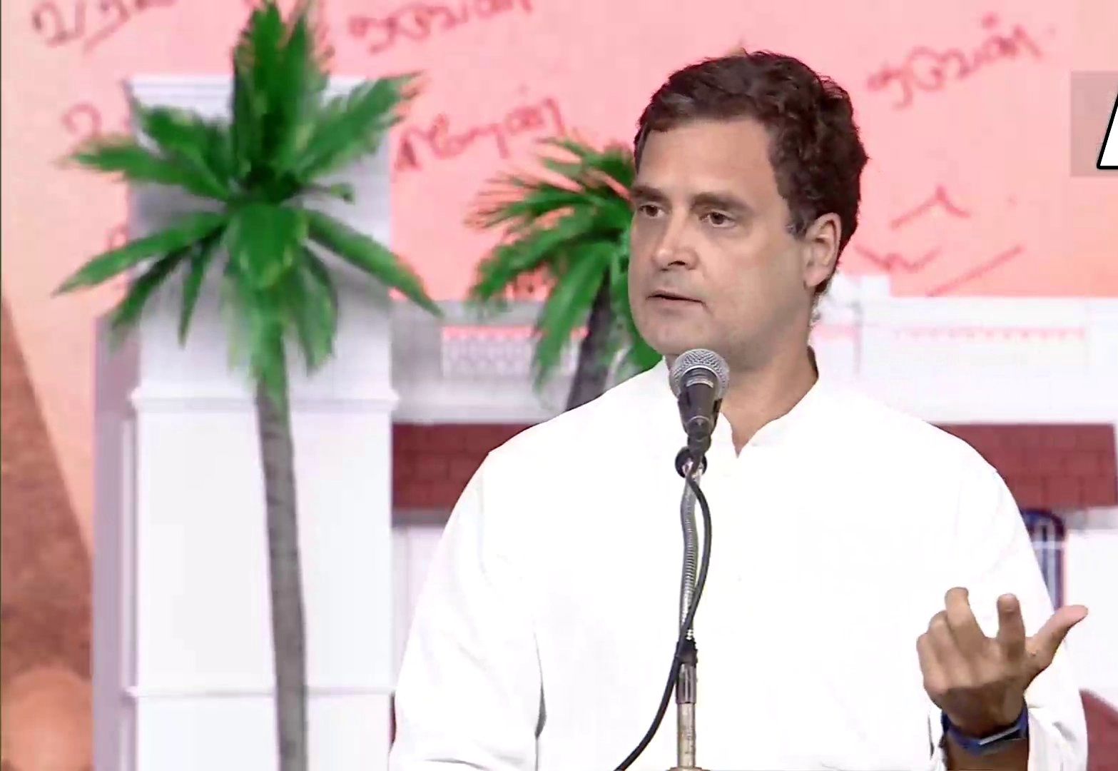 राहुल गांधी का मोदी सरकार पर निशाना, कहा- हमारी दृष्टि विविधता में एकता, उनकी दृष्टि...