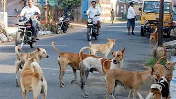 फोटो: सोशल मीडिया