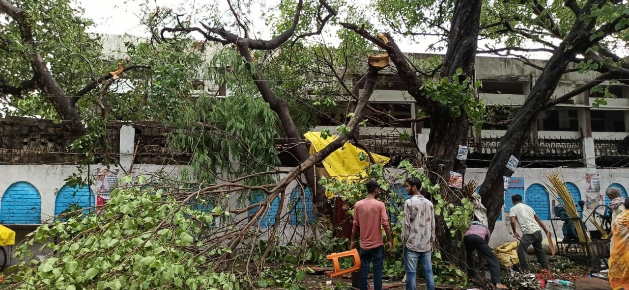 बिहार में आंधी, बारिश ने मचाई तबाही, फसलों को हुआ काफी नुकसान, आकलन का निर्देश