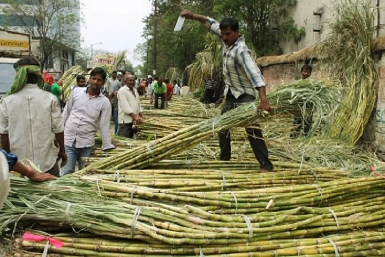 अर्थजगत की खबरें: स्पाइसजेट पर साइबर हमले की कोशिश, अडानी पोर्ट्स के शुद्ध लाभ में 22 फीसदी की गिरावट आई
