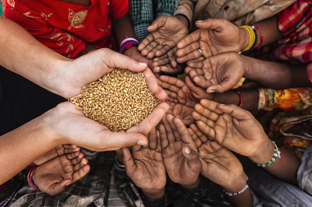 भारत के कारण संकट में पड़ा खाद्य संकट पर अंतरराष्ट्रीय समझौता, मिस्र और श्रीलंका का भी नहीं मिल रहा समर्थन