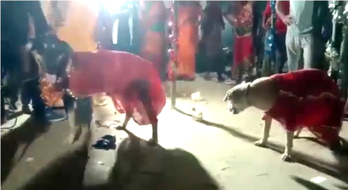 फोटो: IANS